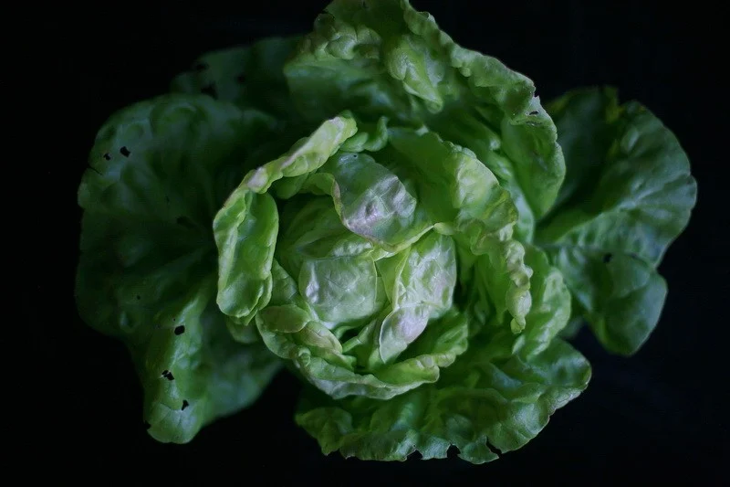 Green salad