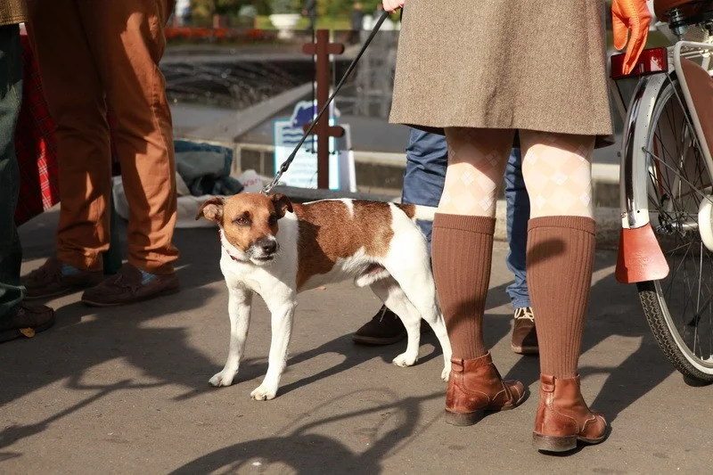 Tweed Ride Moscow 2012