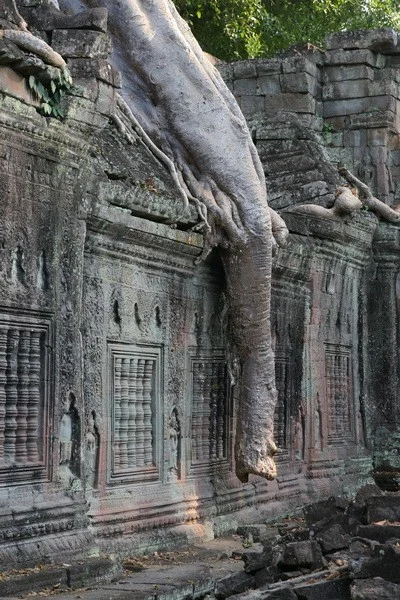 Cambodia, Angkor