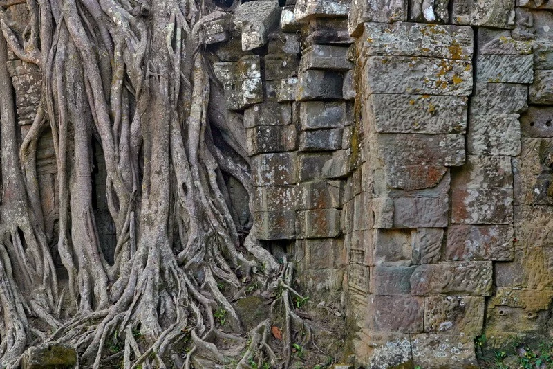 Cambodia. Angkor